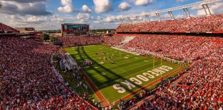 SOUTH CAROLINA GAMECOCK